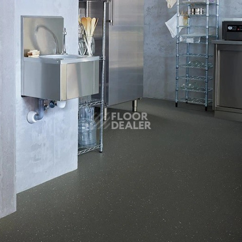 Forbo SafeStep R11 174282 dragon фото 2 | FLOORDEALER